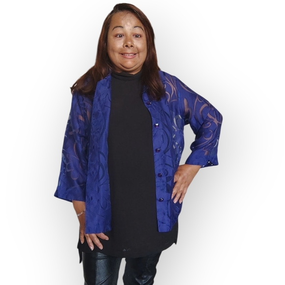 Sheer Blue Button-Up Blouse - Picture 5 of 16